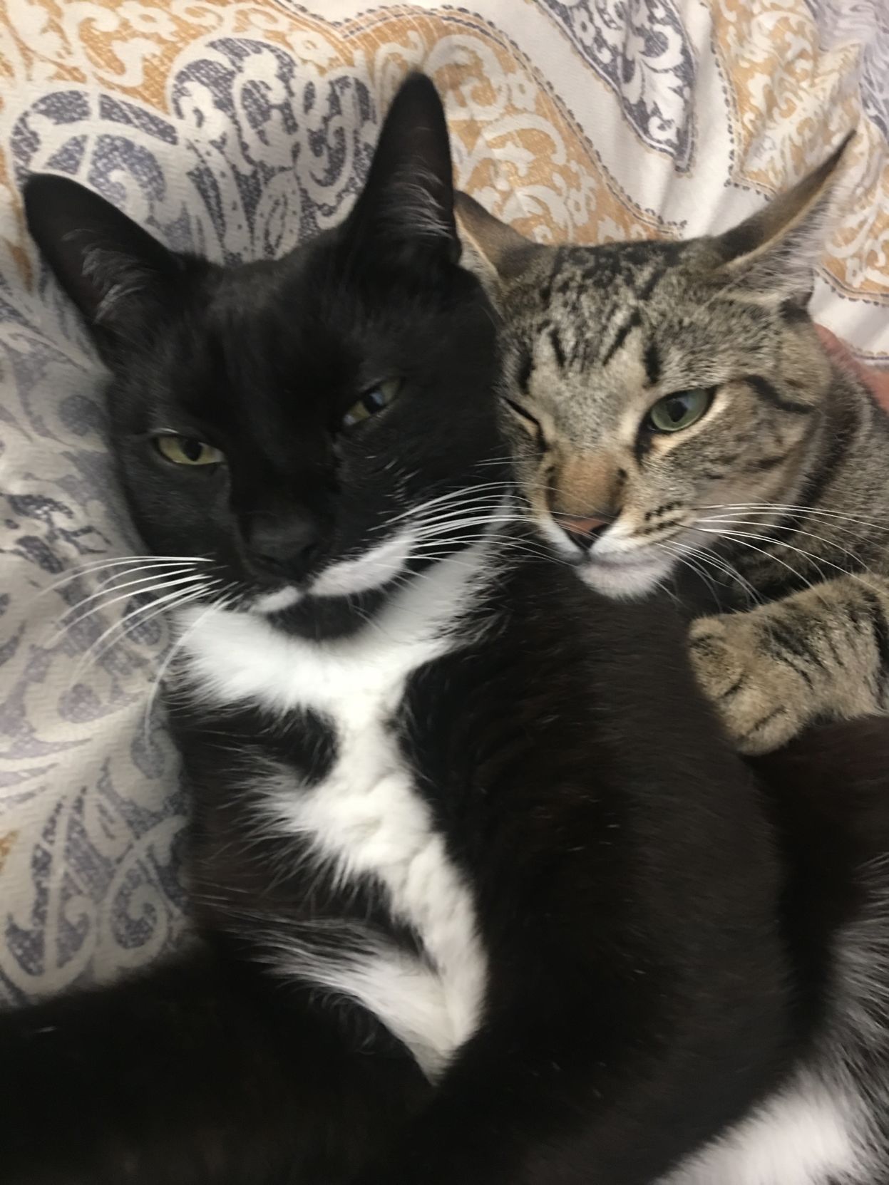 Maxwell and Marnie
